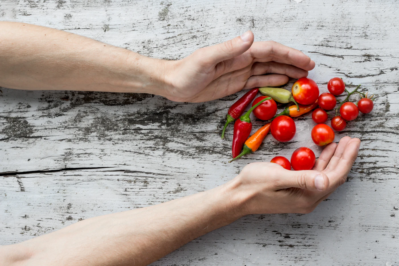 Impasti, farine e lievitazione