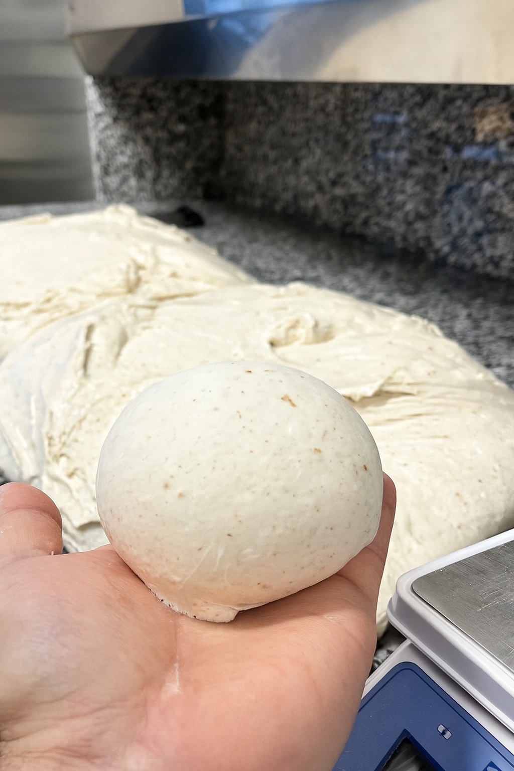 Alvaro Cocchiarella, pizzaiolo e imprenditore